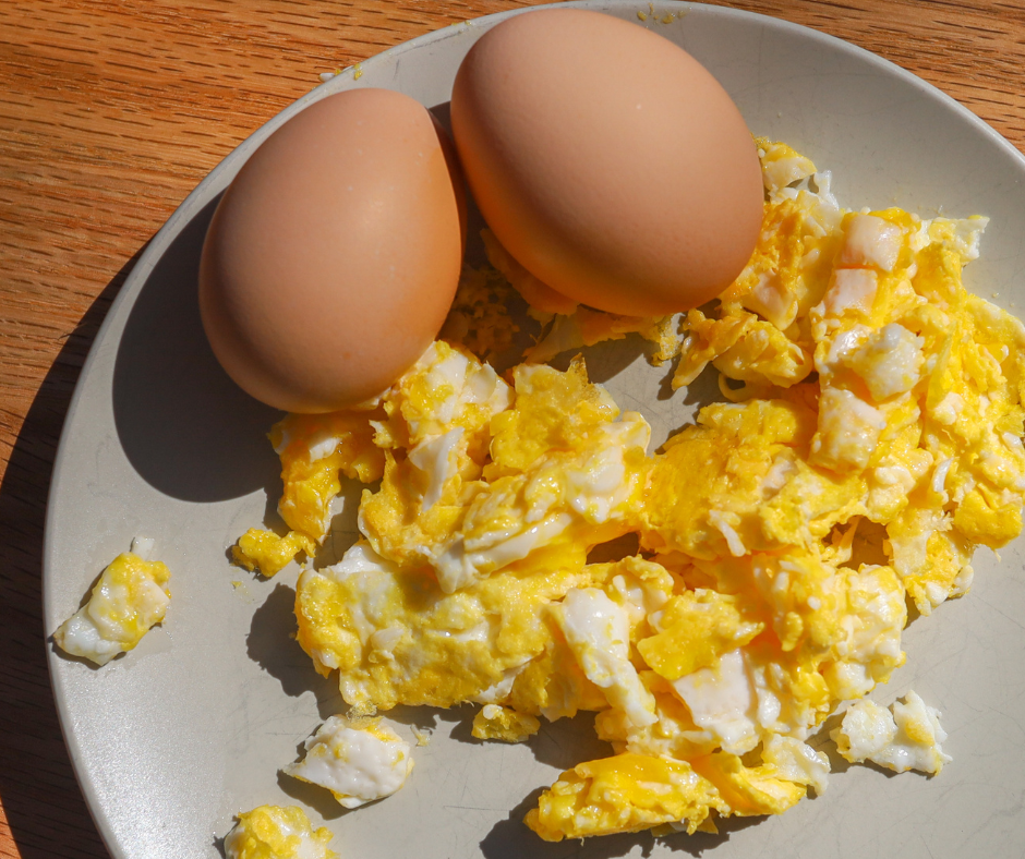 scrambled egg